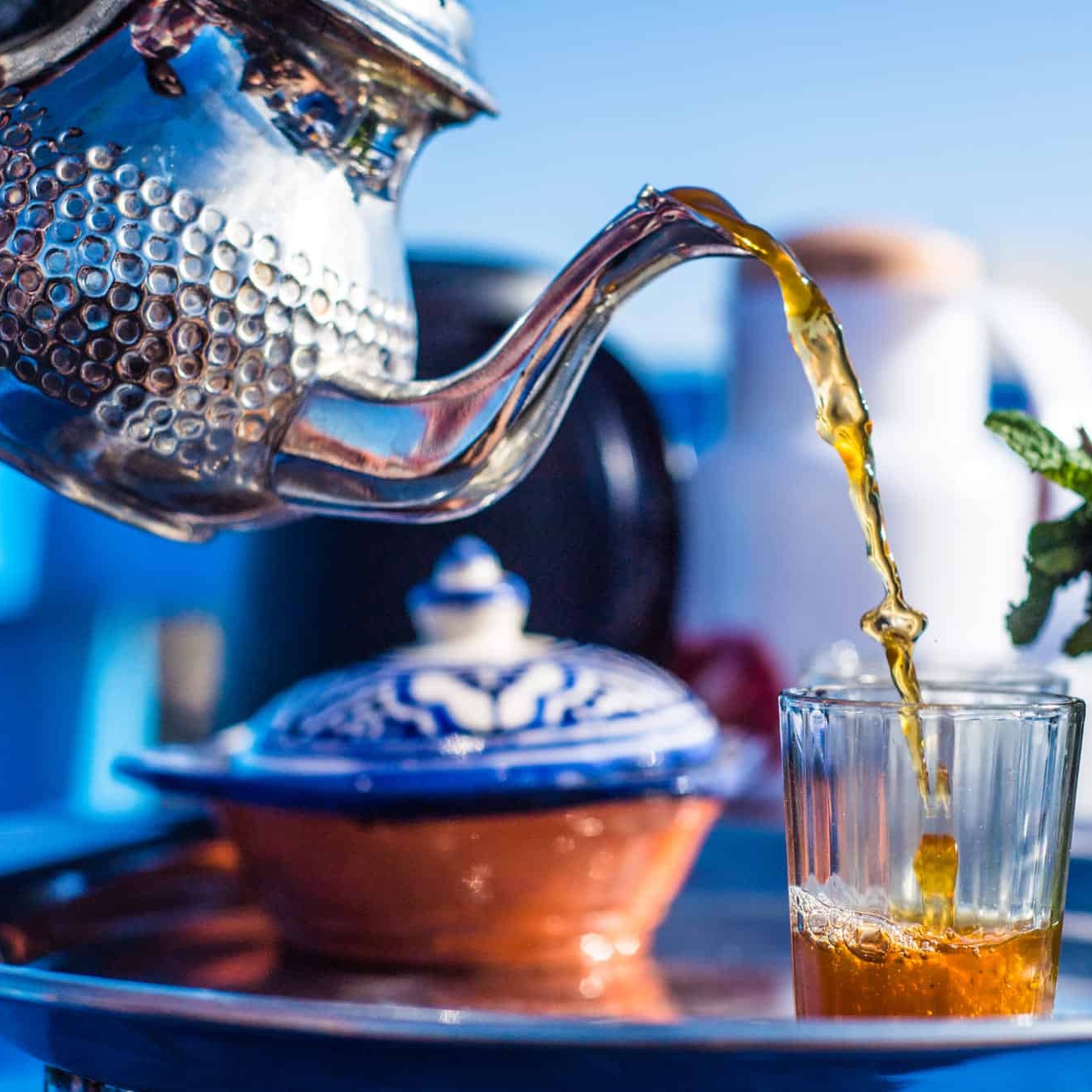 Moroccan-mint_副本
